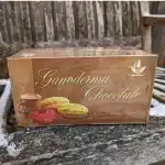 Ganoderma Chocolate